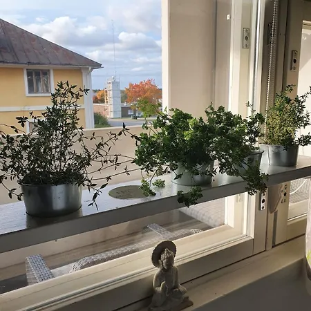 Apartamento With Sauna In The Center Laitila
